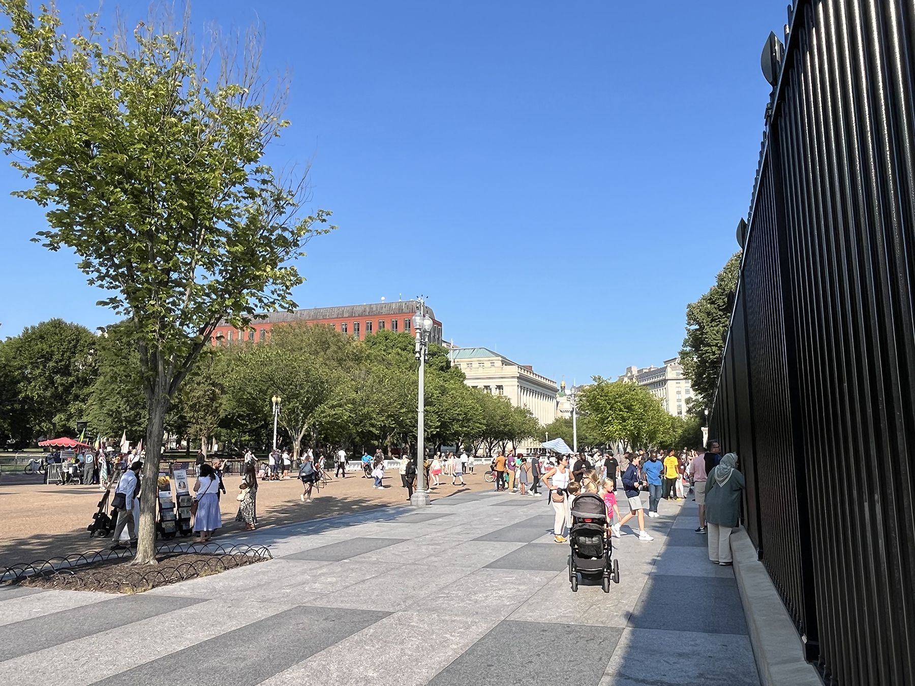 How Cannabis Might Sway Voters in 2024